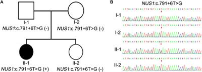 Case report: splicing effect of a novel heterozygous variant of the NUS1 gene in a child with epilepsy
